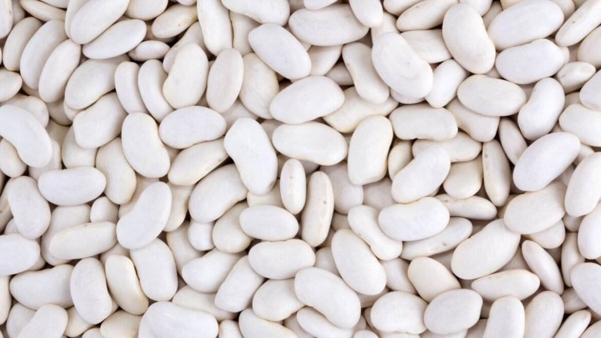Les variétés de haricots blancs pour la loubia